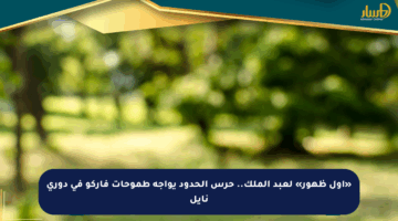 «أول ظهور» لعبد الملك.. حرس الحدود يواجه طموحات فاركو في دوري نايل